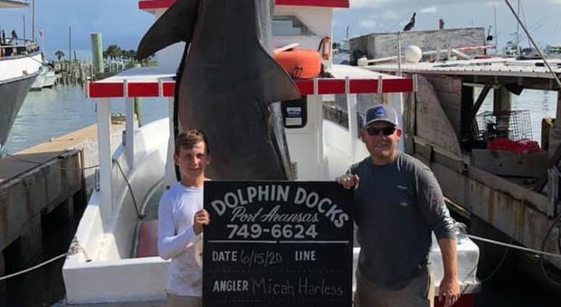 Adolescente cattura in Texas uno squalo tigre di quasi 400 kg