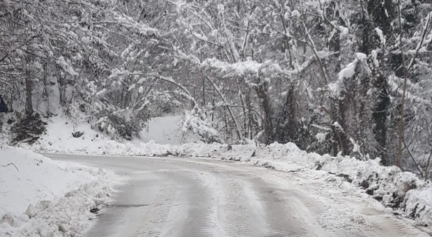 Pesaro, torna a nevicare nelle aree interne: mezzi antighiaccio sulle strade