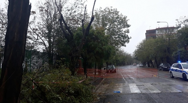 Maltempo a Napoli, chiude via Petrarca: rischio crollo alberi, residenti furiosi