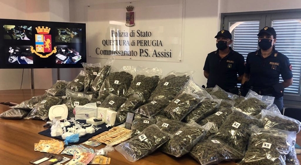Assisi, blitz antidroga della polizia con maxisequestro e un arresto. Sequestrati 30 chili di marijuana e 3 di cocaina
