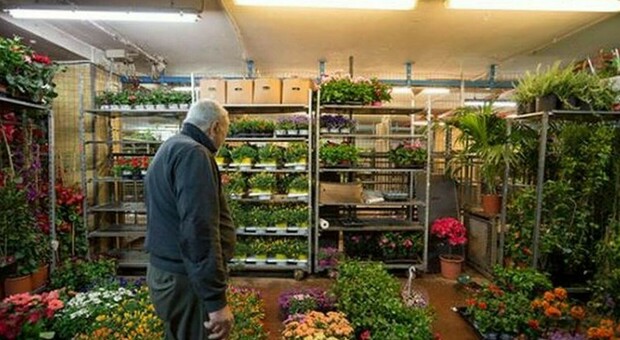 Il mercato dei fiori resta al Centro carni, l'ira degli operatori: «Siamo stretti, così affari compromessi» `
