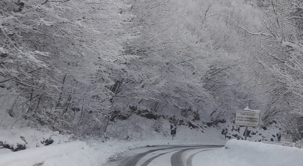Frosinone, bufera di neve: chiuso e riaperto il tratto di strada per Forca d'Acero