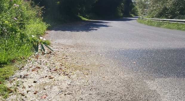 Cantalice, canali di scolo inadeguati: pericolo sbandamenti a Capo d'Acqua