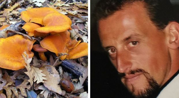 Punto dai calabroni mentre va a funghi, muore imprenditore di 51 anni