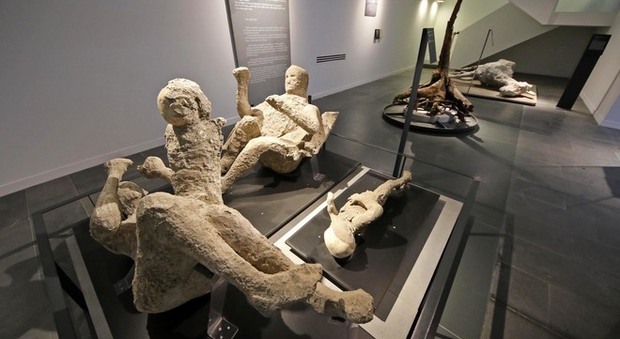 Riapre l'Antiquarium di Pompei, in vetrina le ultime scoperte