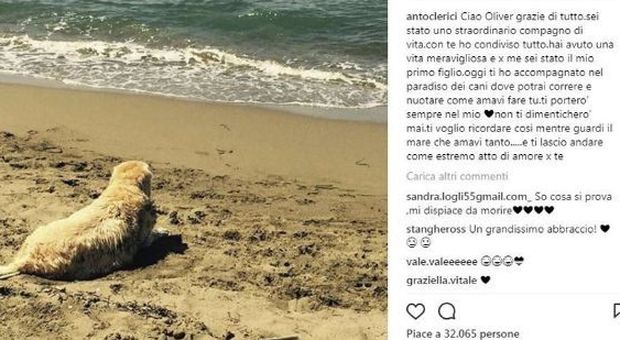 Antonella Clerici, morto il cane Oliver. Il post d'addio: "Grazie di tutto"