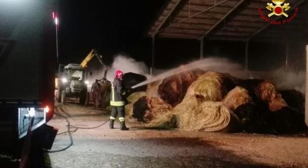 Incendio nel fienile dell'azienda: a fuoco 150 quintali di rotoballe