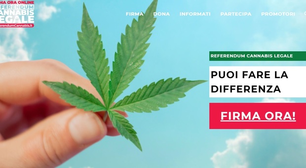 Referendum cannabis legale, raccolte online le 500mila firme. Ecco quando si andrà a votare