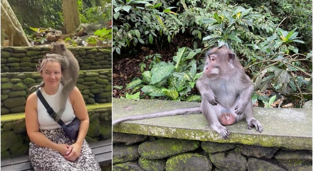 Bali, scimmia ruba cellulare a una turista e lo getta dal tempio: «Non l’ho più ritrovato, me l’ha distrutto»