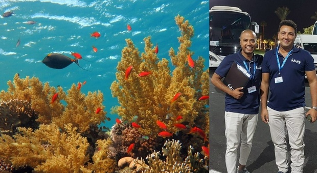 La guida "veneta" di Sharm el Sheikh: Willy e Robinho traghettano i turisti dalla barriera corallina alla motorata nel deserto