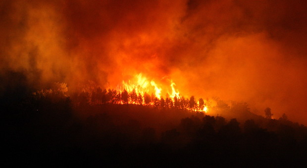 Violento incendio a Col Melon, nel territorio di Pedavena Violento incendio a Col Melon, nel territorio di Pedavena