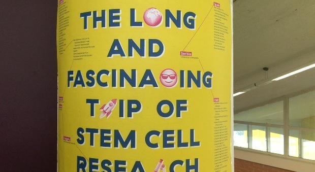 Dalle scuole campane all'università per studiare le cellule staminali