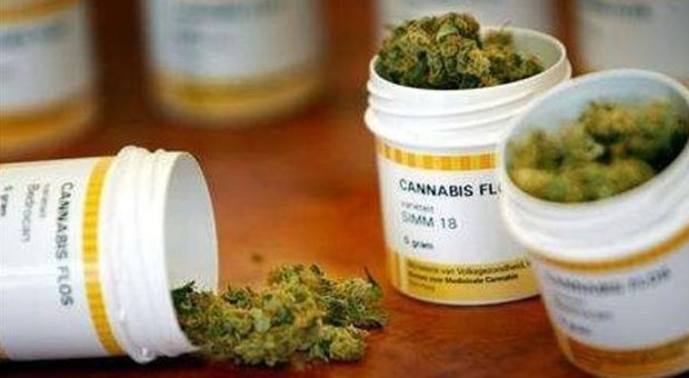 Cannabis anti depressione: la Regione dice sì all'uso terapeutico
