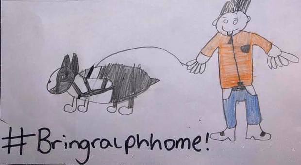 Il suo cane viene rapito, bimbo di 7 anni disegna i volantini per cercarlo e lo ritrova