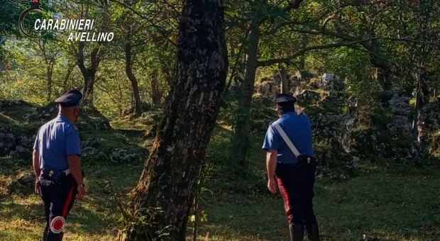 Ventenni si perdono nei boschi dell'Irpinia, salvati dopo ore di ricerche