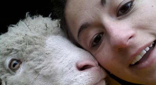 Dalle provette alle pecore, la seconda vita dell'ex cervello in fuga Katy
