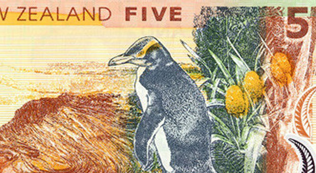 Nuova Zelanda, l'Oceano è troppo caldo: a rischio il pinguino simbolo