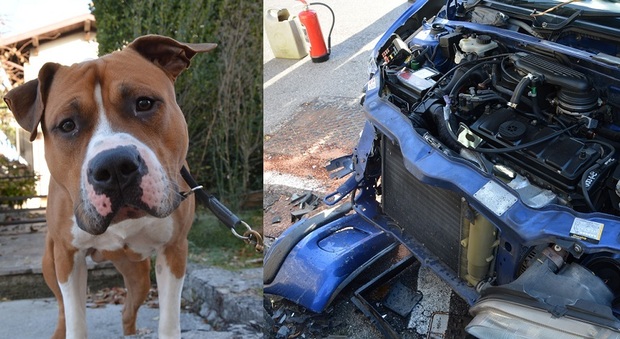 Auto contro il muro a Tarcento: ferito il conducente, salvo il cane nel bagagliaio