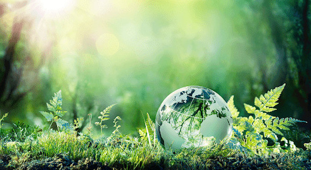 Nasce “Ecco – Libera Associazione Ecologista” per una cultura della sostenibilità