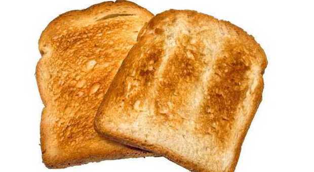 Mangia un toast e muore: "La crosta del pane ha lesionato l'intestino"
