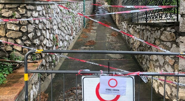 Maltempo a Capri: crolla un pino, strada chiusa al traffico