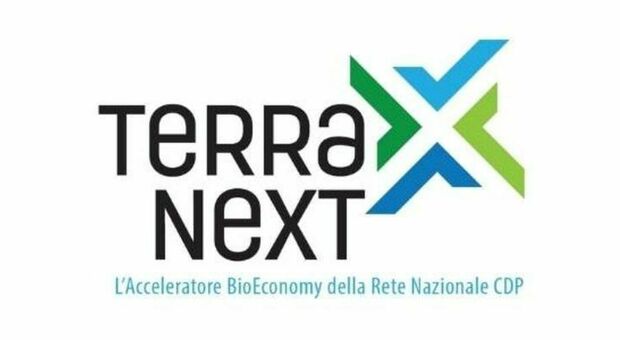 «Terra Next», selezionate le prime 8 startup: parte a Napoli il programma di accellerazione