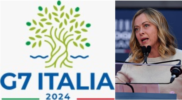Il G7 a Borgo Egnazia, un ulivo nel logo scelto dal Governo: «Le sue radici nel Mediterraneo»