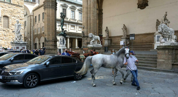 Firenze, cavallo imbizzarrito semina il panico in piazza della Signoria. Danneggiata l'auto della ministra Lamorgese