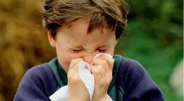 Faber: 244 allergie, un solo test ideato dai ricercatori napoletani