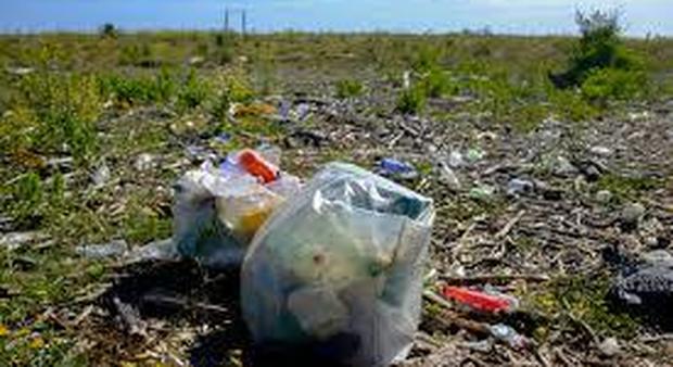 Oasi dei Variconi, grandi pulizie coi volontari dell'associazione Plastic Free