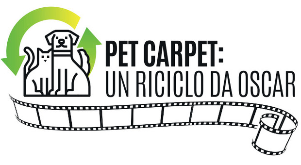 “Pet Carpet: un riciclo da Oscar”: metti in circolo cucce, giochi, collari, ciotole, pettorine e farmaci che non usi più
