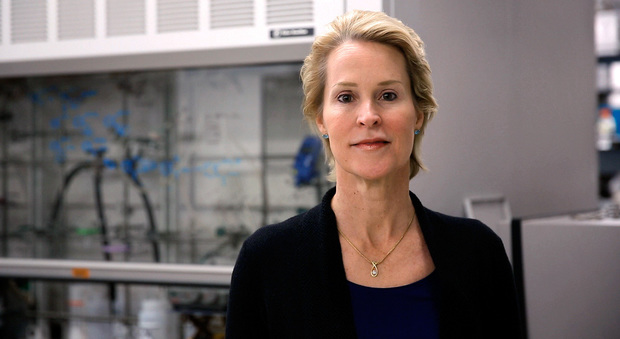 Il "Nobel" per la tecnologia va a una donna: la biologa che "gioca a dadi" con l'evoluzione