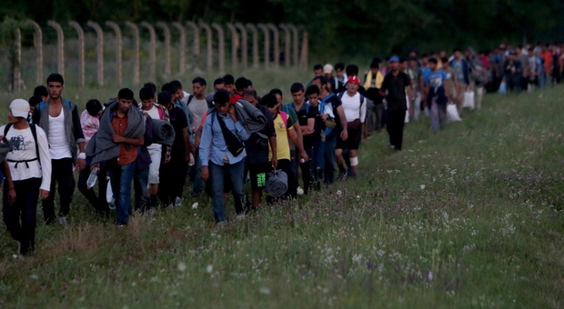Migranti trovati in un bosco al confine con l'Italia: ci sono anche 12 minorenni