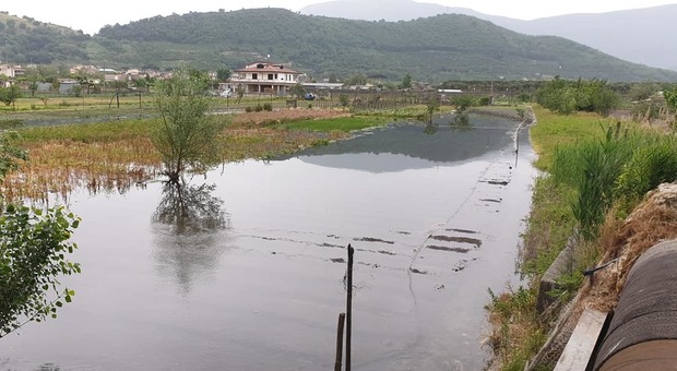 Non piove ma il fiume Sarno straripa, devastati i raccolti dei campi