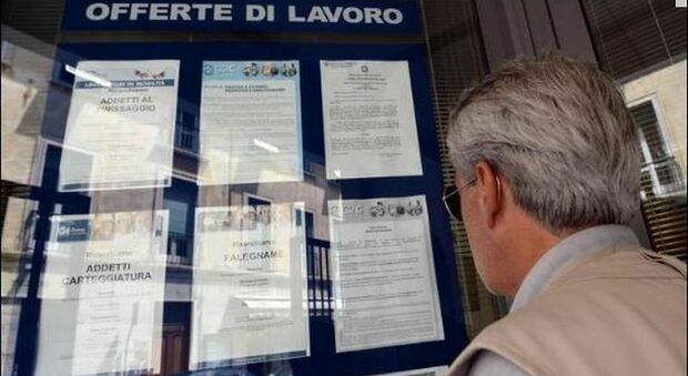 Lavoro, le aziende del Lazio a caccia di personale: cercasi commessi, cuochi, contabili e segretarie