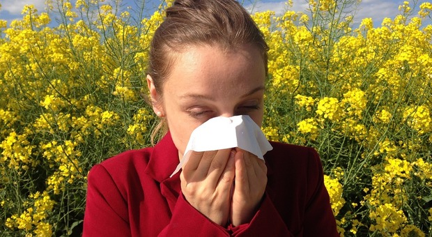 Allergie, allerta per 50mila umbri