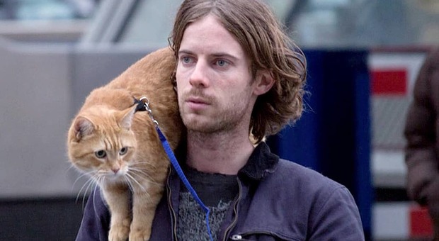 Morto il gatto del libro (e del film) "A spasso con Bob": salvò la vita a un artista di strada