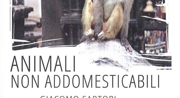 La copertina del libro Animali non addomesticabili, Exorma edizioni