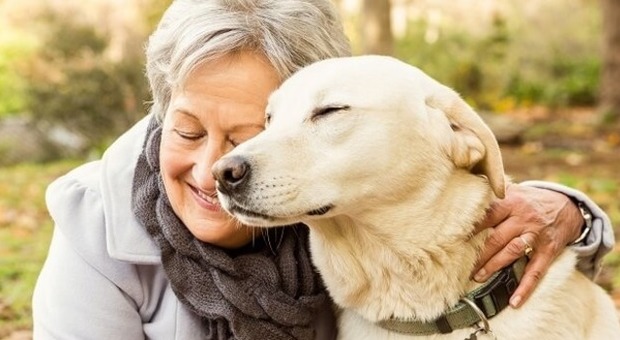 Un aiuto ai cani degli anziani: dall'associazione Asta il progetto “Dopo di me”