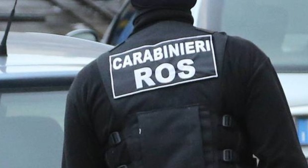 'Ndrangheta, mani sui fondi Ue: 9 arresti in Calabria: politici e imprenditori