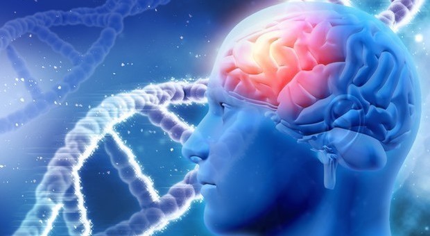 Calciatori più a rischio demenza e malattie neurodegenerative: «Per i tanti colpi di testa»