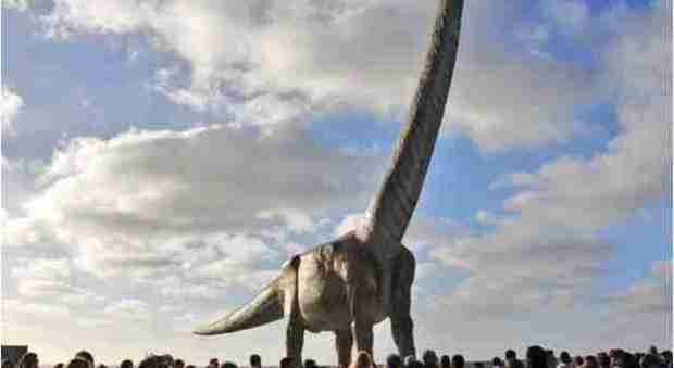 Il dinosauro più grande? È il Titanosauro Patagonico