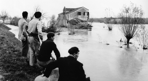 Una scena dell'alluvione del 1951