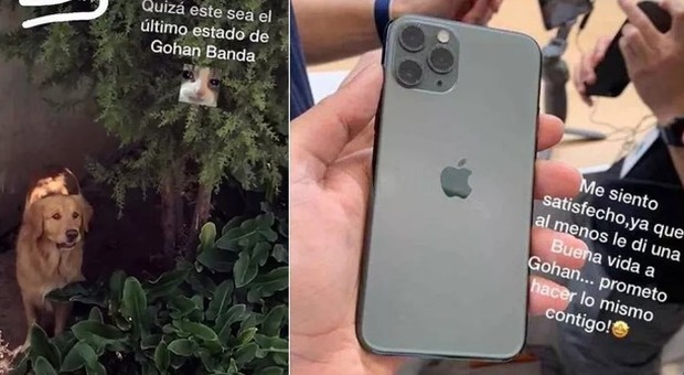 Scambia il suo cane per un iPhone 11, ma un amico gli scrive: «Che idiota»