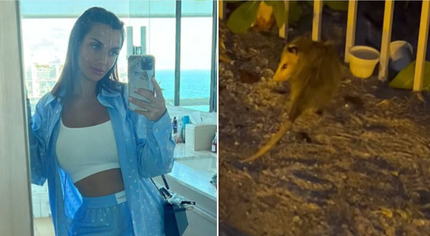 Elettra Lamborghini, la disavventura nella sua casa di Miami: «Ho visto un opossum»