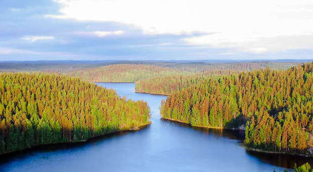 Visitare la Finlandia in autunno: come arrivare e dove osservare il foliage