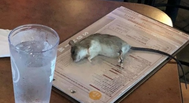 Al ristorante per assistere alla partita del Mondiale femminile, un topo le cade sul tavolo. La foto fa il giro del web