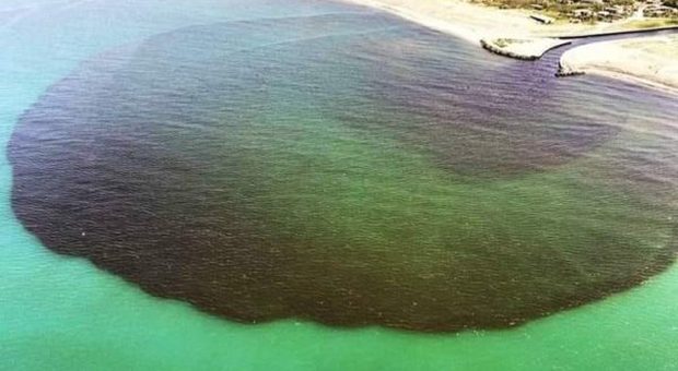 Macchia nera nel mare di Castel Volturno: dopo il lockdown torna l'inquinamento