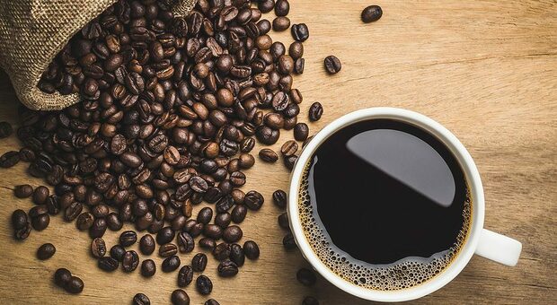 La maxi truffa del caffè, due società hanno evaso l'Iva per un milione