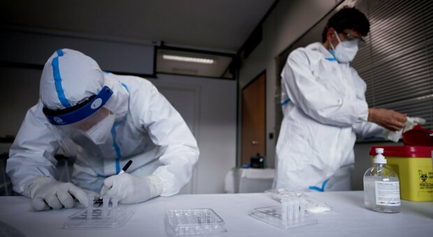 Coronavirus, Acquaroli annuncia su Facebook: «Nelle Marche screening di massa con test antigenico»